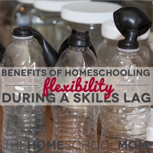 TheHomeSchoolMom - Benefits of Homeschooling: 8 Ways for Later Readers to Build Knowledge