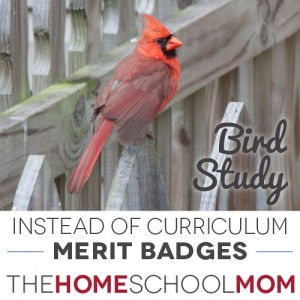 Instead of Curriculum: Free Unit Studies with BSA Merit Badges