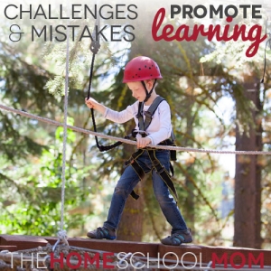 TheHomeSchoolMom Blog: How challenges & mistakes promote learning