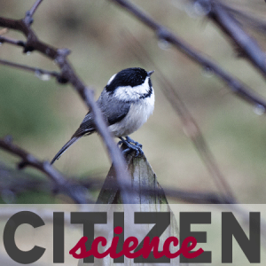 Citizen Science: You be the analyst