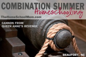 TheHomeSchoolMom: Combination Summer Homeschooling