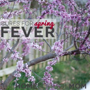 TheHomeSchoolMom: Cures for Spring Fever