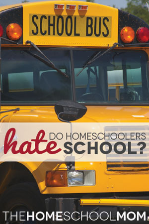 Do Homeschoolers Hate Public Schools?