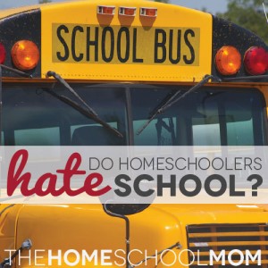 Do homeschoolers hate school?