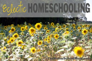 TheHomeSchoolMom: Eclectic Homeschooling