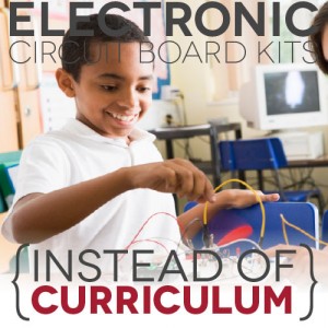 Electronic Circuit Board Kits (Instead of Curriculum)