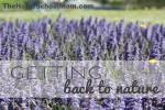 TheHomeSchoolMom: Getting Back to Nature