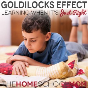 TheHomeSchoolMom Blog: Learning when it's "just right"