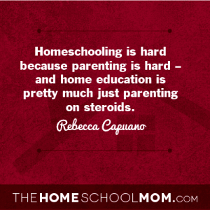 TheHomeSchoolMom Blog: What to tell yourself when you are ready to quit homeschooling