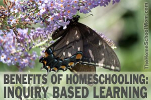 TheHomeSchoolMom - Benefits of Homeschooling: Inquiry Based Learning