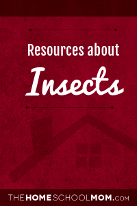 Homeschool resources about insects Homeschool resources about insects