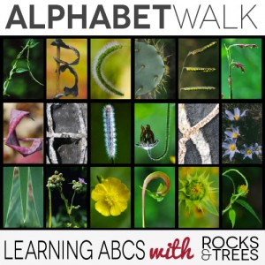 Learning ABCs with rocks and trees