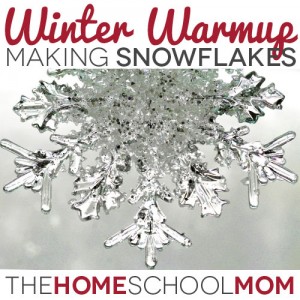 Winter Warmup: Making Snowflakes Winter Warmup: Making Snowflakes