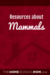 Homeschool resources for studying about mammals Homeschool resources for studying about mammals