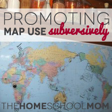 Promoting Map Use Subversively