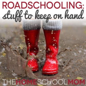 Roadschooling: My list of "extras" to keep in the car
