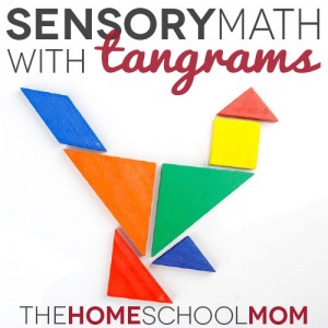 TheHomeSchoolMom Blog: Math Sensory Play with Tangrams