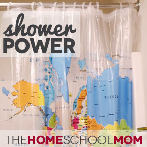 TheHomeSchoolMom: Using your surroundings