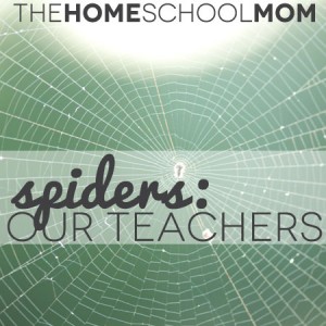 TheHomeSchoolMom: Spiders are our teachers