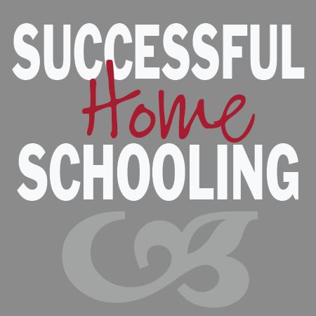 TheHomeSchoolMom: How our family defines successful homeschooling