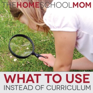 TheHomeSchoolMom: What To Use Instead of Curriculum