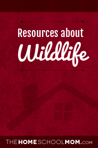 Homeschool resources about wildlife Homeschool resources about wildlife